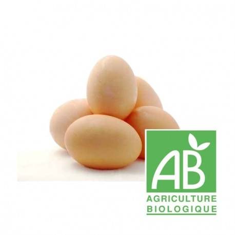 LES OEUFS BIO