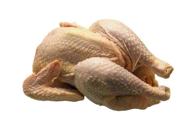 grossiste poulet entier certifié